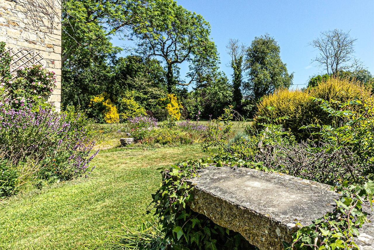 Cosy Wolf Bed & Breakfast Freshwater Exteriér fotografie