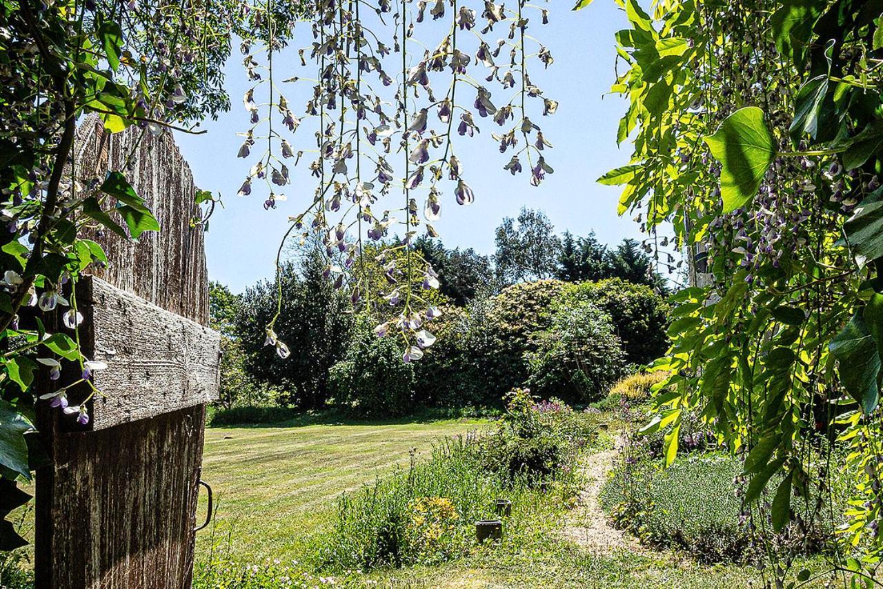 Cosy Wolf Bed & Breakfast Freshwater Exteriér fotografie